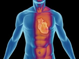 Өвчин ороогоод эхэлбэл үйл хэргээ шинж